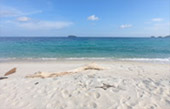 Ko Lipe - Unique