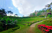 Mae Hong Son - Unique