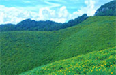 Mae Hong Son - Unique