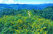 Mae Hong Son - Unique