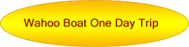 Wahoo Boat One Day Trip