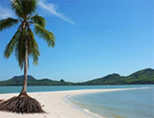 Local Beautiful Island - Yao Yai