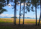 One Day: Yao Yai Island(Higher Class)
