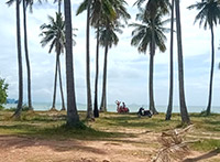 Local Beautiful Island - Yao Yai